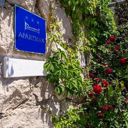 Dorsia With Sea View Apartment