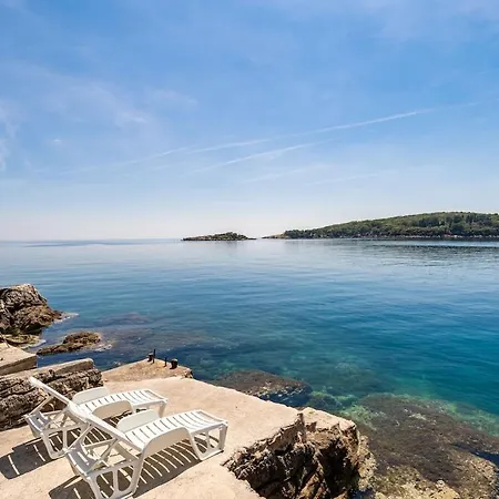 Apartment Dorsia With Sea View Molunat
